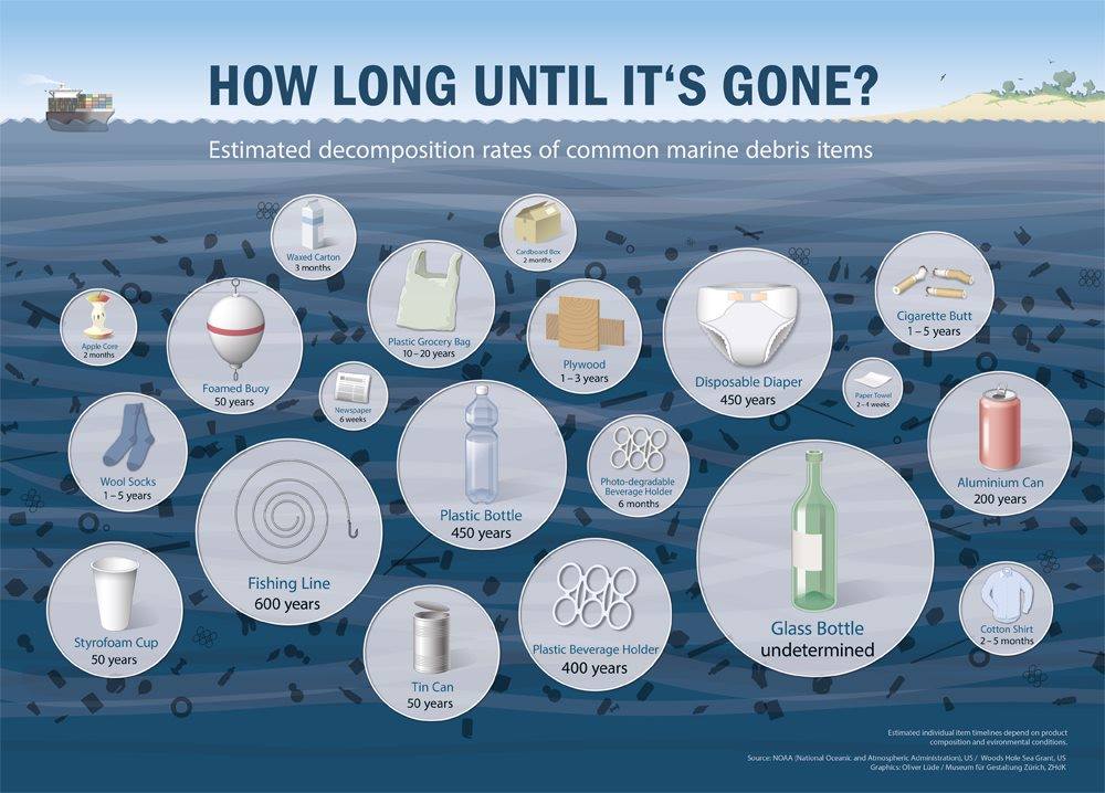 How Long Until It's Gone Infographic.jpg